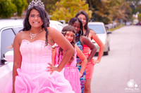 Vicky 15th Birthday Party