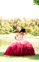 Cristal's Quinces Party